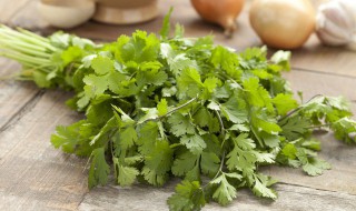 卖来的香菜怎样保鲜 卖来的香菜如何保鲜