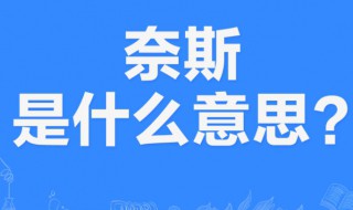 英语奈斯是什么意思 英语奈斯释义