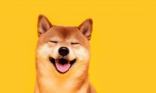 搞笑的宿舍群名称 搞笑的宿舍群名称有哪些