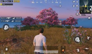 和平精英怎么单挑 和平精英有单人模式吗