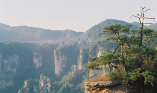 梦见悬崖预示着什么 你知道吗