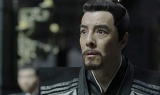 言若海为什么要帮范闲 是不是另有所图