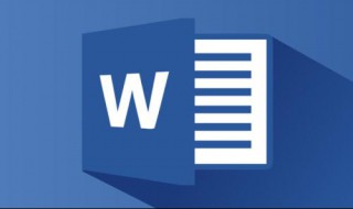 word插入图片 不能从扫描仪 如何用自定义插入