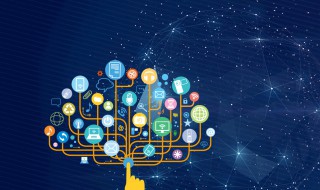 预算员证报考条件 年龄有什么要求