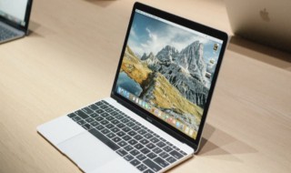 表格复制粘贴技巧 电脑普通操作快捷键大盘点