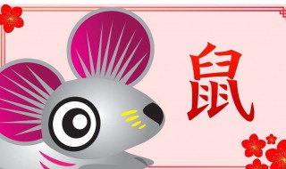 属鼠如何对待爱情 看了你就知道