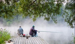 蚯蚓钓鱼用什么打窝制作谷麦窝料 谷麦窝料制作方法