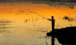 调漂技巧调漂想要做到精准少不了这些步骤 了解一下这两种步骤