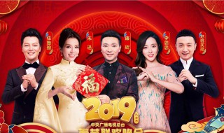 2019年春晚央视阵容 春晚的简介信息