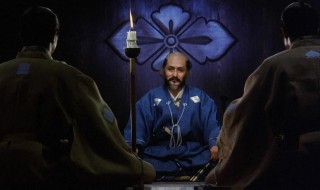 武者杨念结局 武者讲的是什么