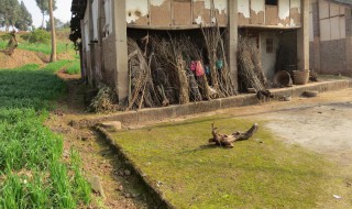 梦见房子倒塌预示着什么 具体内容如下