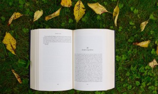 试一试吗造句二年级 这五句你学会了吗