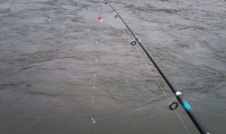 串钩怎么钓鱼 串钩的绑法又是怎么样的呢