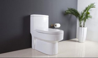 马桶安装尺寸 安装马桶的大小