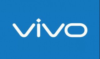 vivox21a参数详细参数 vivox21a的基本详细资料