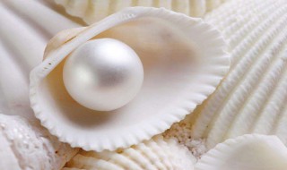 珍珠的取珠方法 珍珠怎么取珠