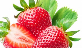 采草莓文案 有关采草莓文案精选