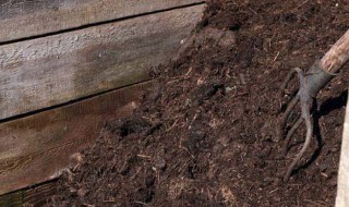 冬天堆肥最佳方法 冬季如何堆肥