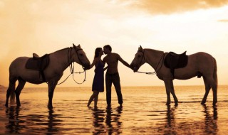 走心的句子关于爱情 句句走心的爱情说说