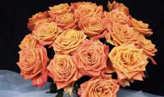 玫瑰鲜切花的保鲜方法 玫瑰鲜切花的保鲜方法推荐