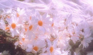 温柔朋友圈说说的好句子 朋友圈温柔唯美说说好句子