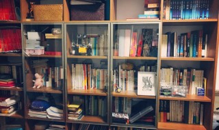 书橱的整理方法 怎样整理书柜