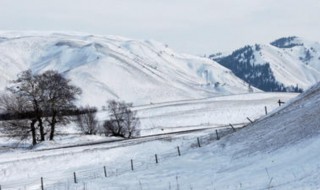 大秦赋里的雪山是哪里 大秦赋里的雪山在哪取景