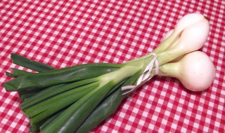 吃葱对女性的身体有哪些好处 吃葱对女性的好处介绍