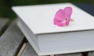 最想对女朋友说的十句话 最想对女朋友说的话合集