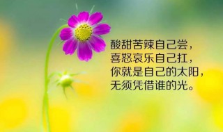 励志说说致自己简短 关于励志说说有哪些