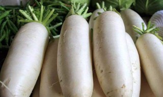 萝卜和什么不能一起吃 萝卜不能一起吃的食物介绍