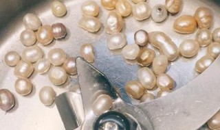 珍珠粉怎样祛斑 珍珠粉祛斑的方法