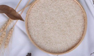 怎样防止米生虫子 花椒可以防止米生虫子吗