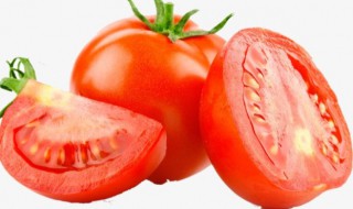 番茄栽培步骤 番茄如何种植