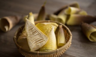 找冬笋技巧 如何找冬笋