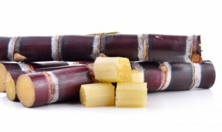 南方甘蔗种植时间和方法 甘蔗怎么种