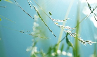 贴心温暖的话语 贴心温暖的经典话语