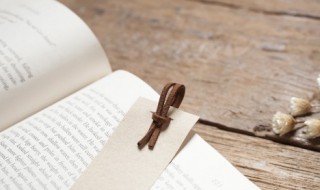 踔厉奋发笃行致远什么意思 踔厉奋发笃行致远的意思