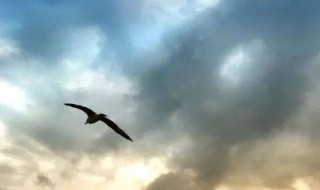 道不同不相为谋志不同不相为友是什么意思 道不同不相为谋志不同不相为友的含义