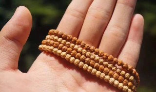 佛手小金刚怎么挑 佛手小金刚如何挑选