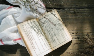 一股脑儿的意思是什么 一股脑儿指的是什么意思