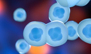 细胞学说的主要内容是什么 细胞学说的主要内容