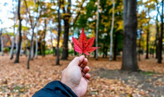 郁达夫的故都的秋中混混沌沌的拼音即意思是什么 混混沌沌的拼音
