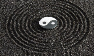 开车撞狗有什么预兆 关于开车撞狗哟欧没有说法介绍