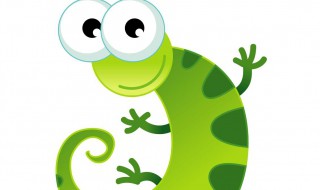 打死壁虎有什么说法 壁虎相关资料介绍