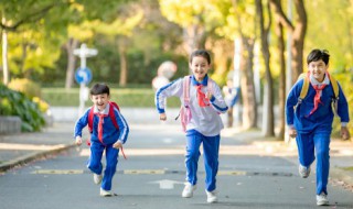 小学生素质报告书 小学生素质报告书怎么写