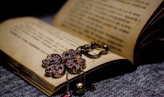 管窥一癍是什么意思 管窥一斑的解释