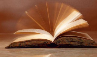 电子百拼是什么 电子百拼解释