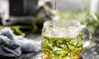 从茶叶中提取咖啡因的关键是什么 如何从茶叶中提取咖啡因