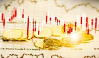 市本级是什么意思 市本级介绍